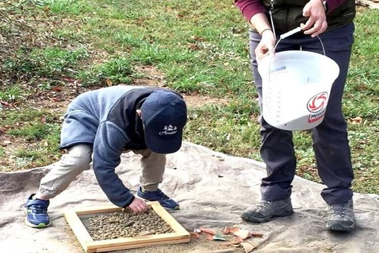 Archaeology Day
